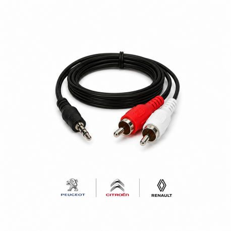 Cable auxiliaire RCA pour Peugeot Citroen Renault