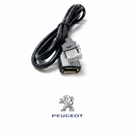 Câble USB Pour Autoradio Peugeot Citroën RT6 RD5 RD45 RD43 AUX PSA