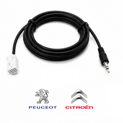 Câble Auxiliaire Pour Autoradio Peugeot RD4