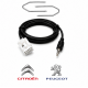 Câble Auxiliaire Pour Autoradio Peugeot RD4 + Clés Démontage