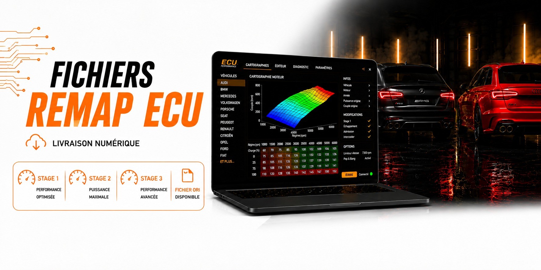 Fichiers Remap ECU &ndash; Cartographies Toutes Marques
